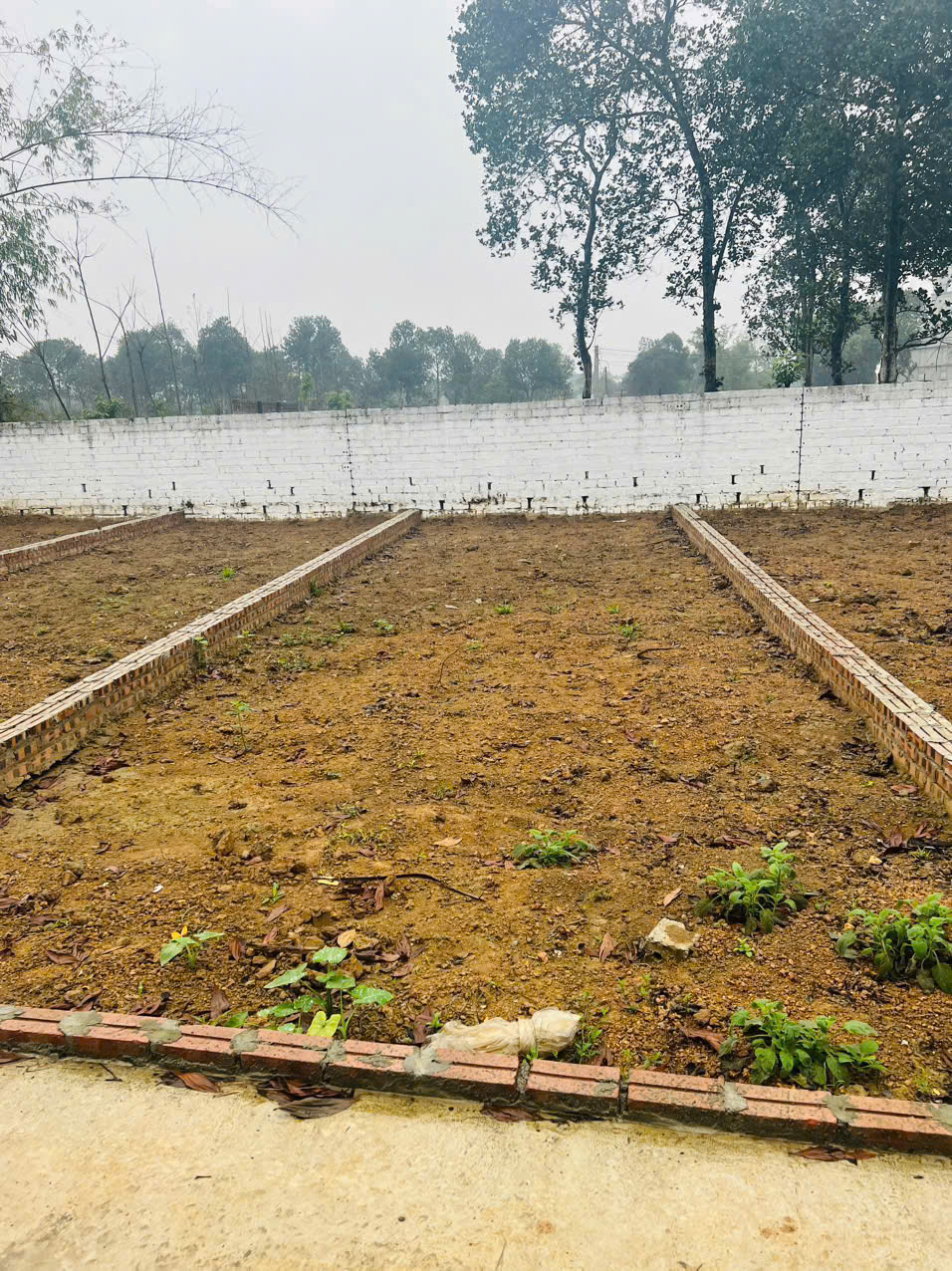 Đất nền Láng Hòa Lạc 100m2 giá 2.2 tỷ – gần chợ, khu thương mại, môi trường sống tốt  Nguyễn Hùng - Ảnh 4
